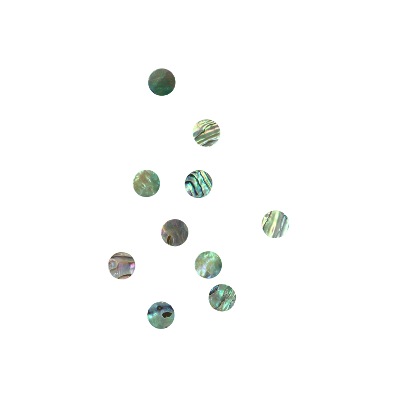 BPCCCT12.5 - 12.5mm (12pcs) PAUA - CIRCLE - NATURAL CURVE, CLEAN BACK, TUMBLED POLISHED - OCEAN SHELL STUDIOS