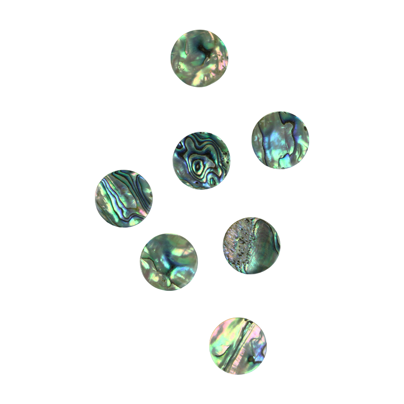 BPCCCT25 - 25mm (12pcs) PAUA - CIRCLE - NATURAL CURVE, CLEAN BACK, TUMBLED POLISHED - OCEAN SHELL STUDIOS
