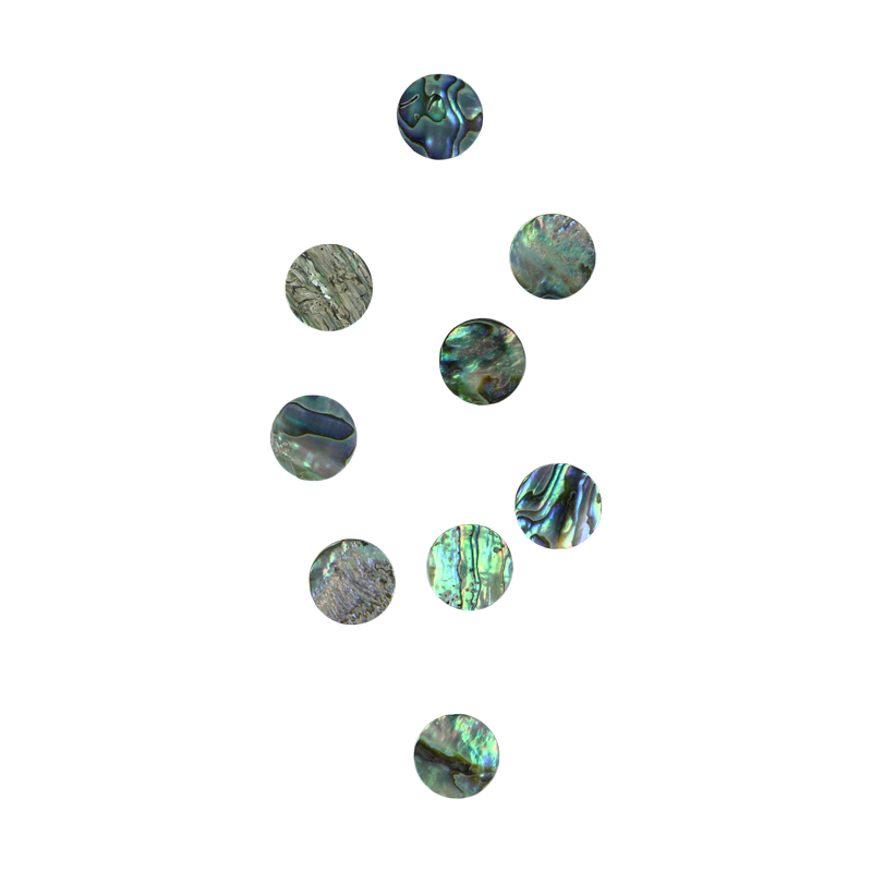 BPCCGT17.5 - PAUA - CIRCLE - NATURAL CURVE, GROUND BACK, TUMBLED POLISHED - OCEAN SHELL STUDIOS