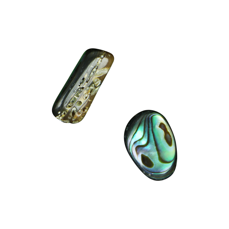 BPFL_7b7d5d68-c0eb-48d5-b8f6-a63fbfc324cb - SHELL BEAD - PAUA FREEFORM - (25 PCS) - OCEAN SHELL STUDIOS