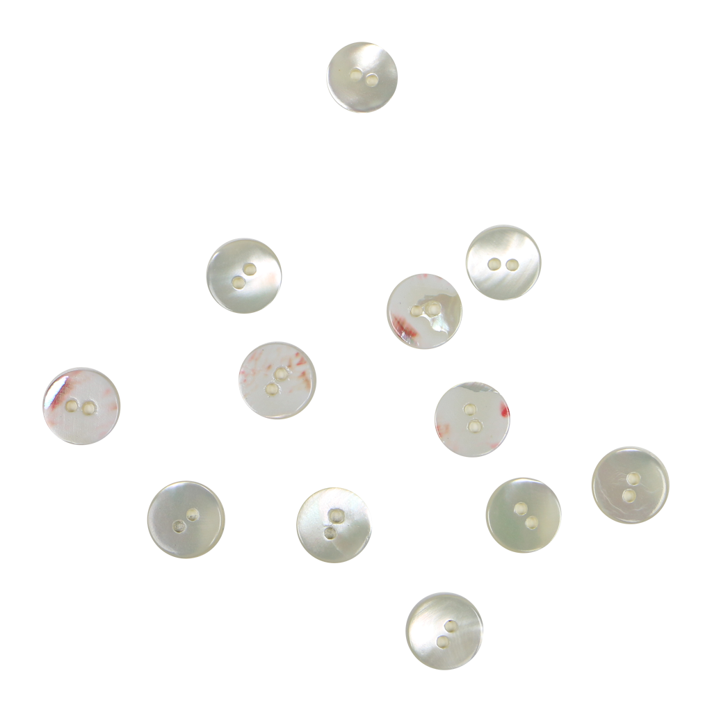 BUT12G - SHELL BUTTON - TROCHUS - OCEAN SHELL STUDIOS