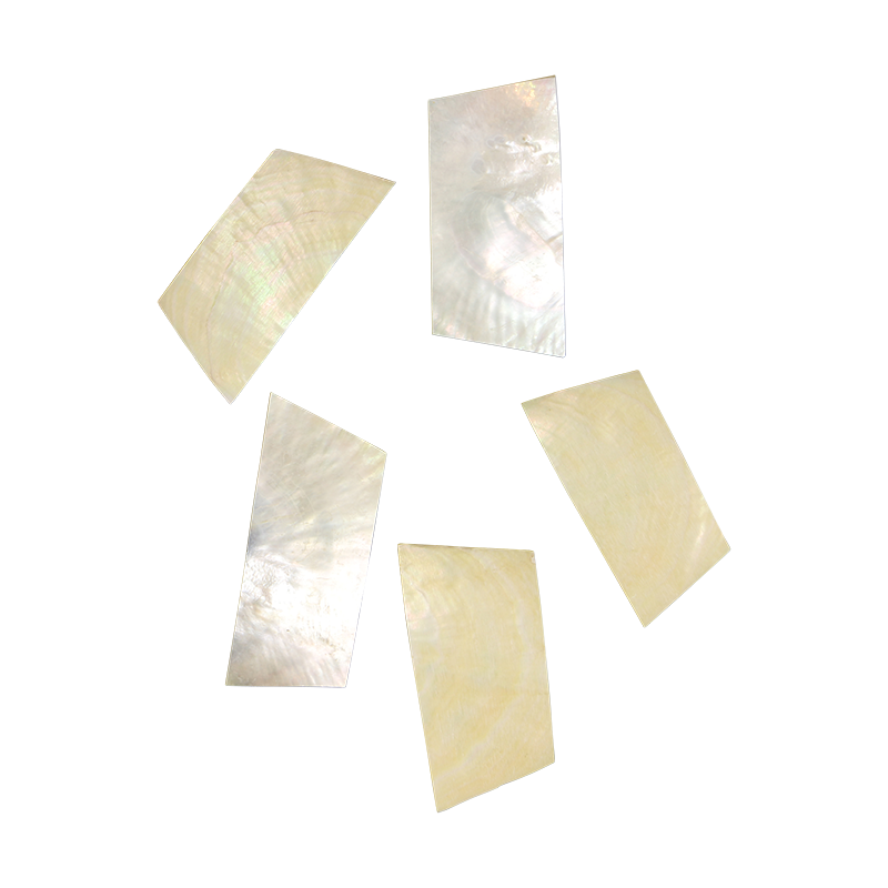 BWYRCCNL - WMOP WY - RECTANGLE - NATURAL CURVE, CLEAN BACK, NOT POLISHED - OCEAN SHELL STUDIOS