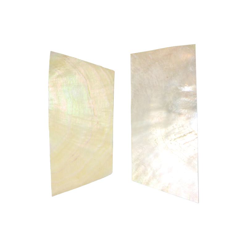 BWYRCCNL_2 - WMOP WY - RECTANGLE - NATURAL CURVE, CLEAN BACK, NOT POLISHED - OCEAN SHELL STUDIOS