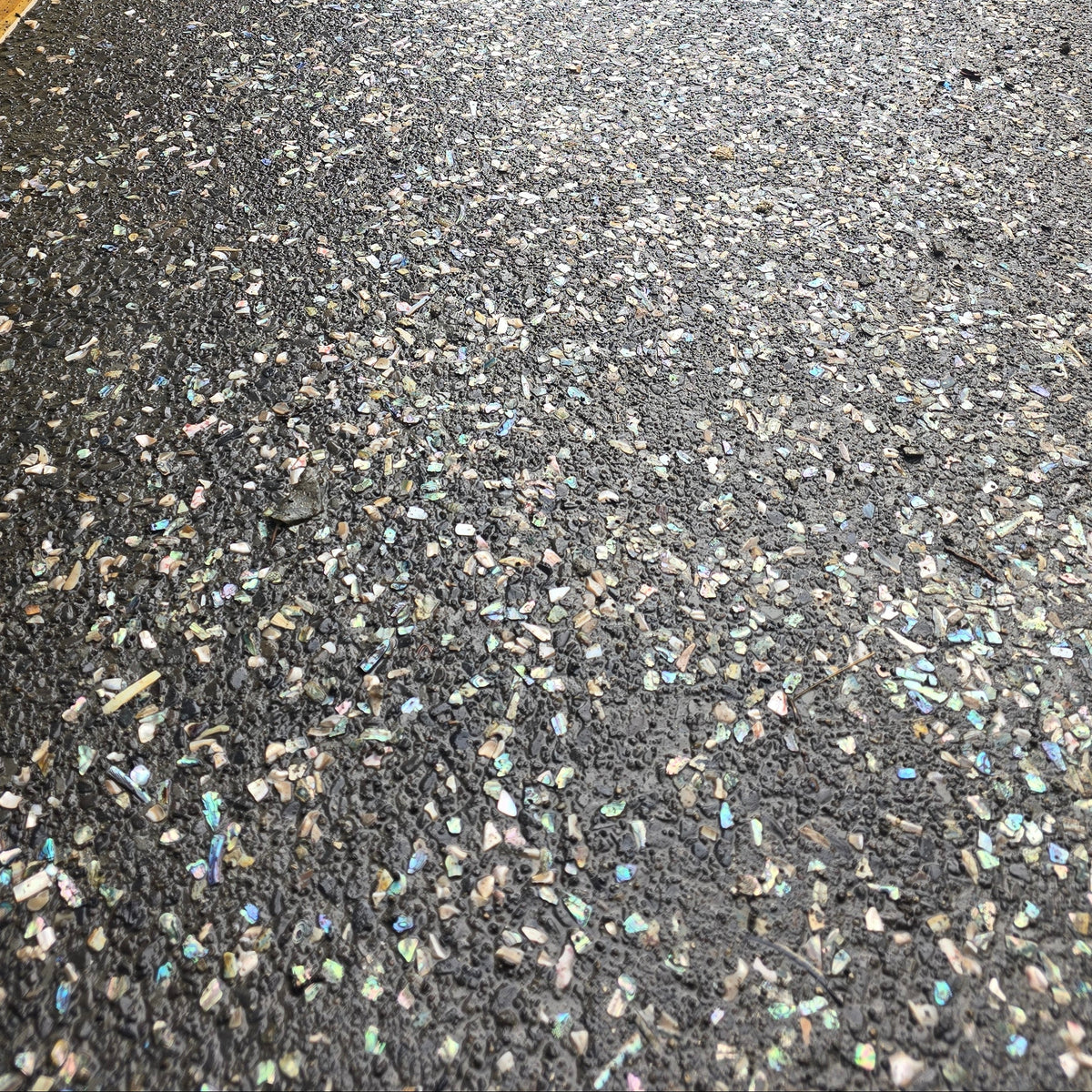 A close-up view of a concrete or asphalt surface covered with small reflective abalone shell flecks, positioned outdoors.