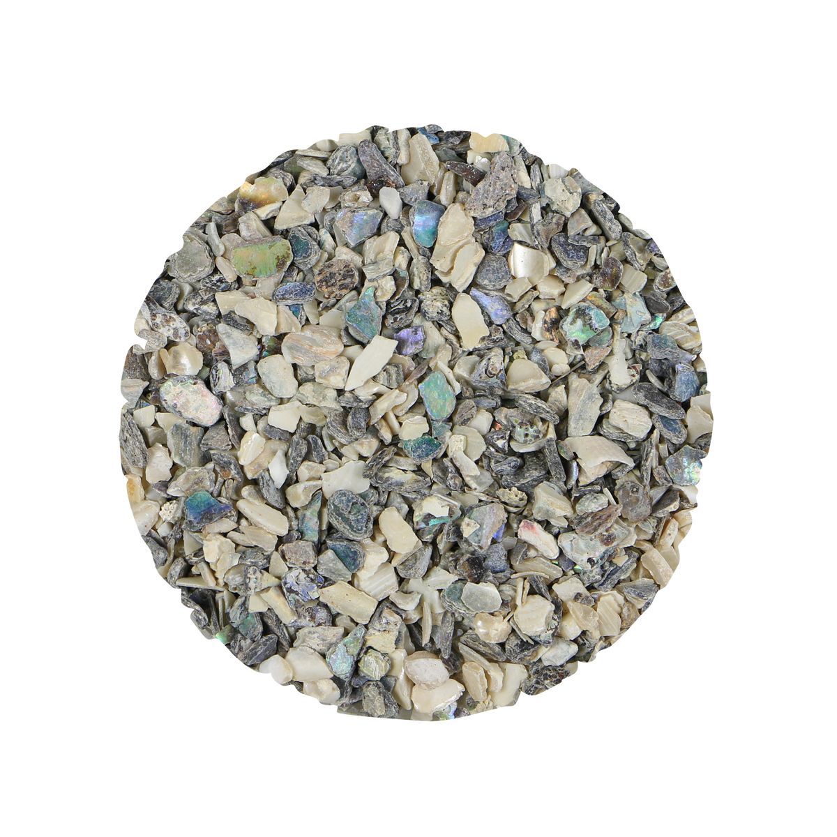 OSFAB - SHELL TERRAZZO CHIP - NZ & AFRICAN ABALONE MIX - 1-7MM - OCEAN SHELL STUDIOS