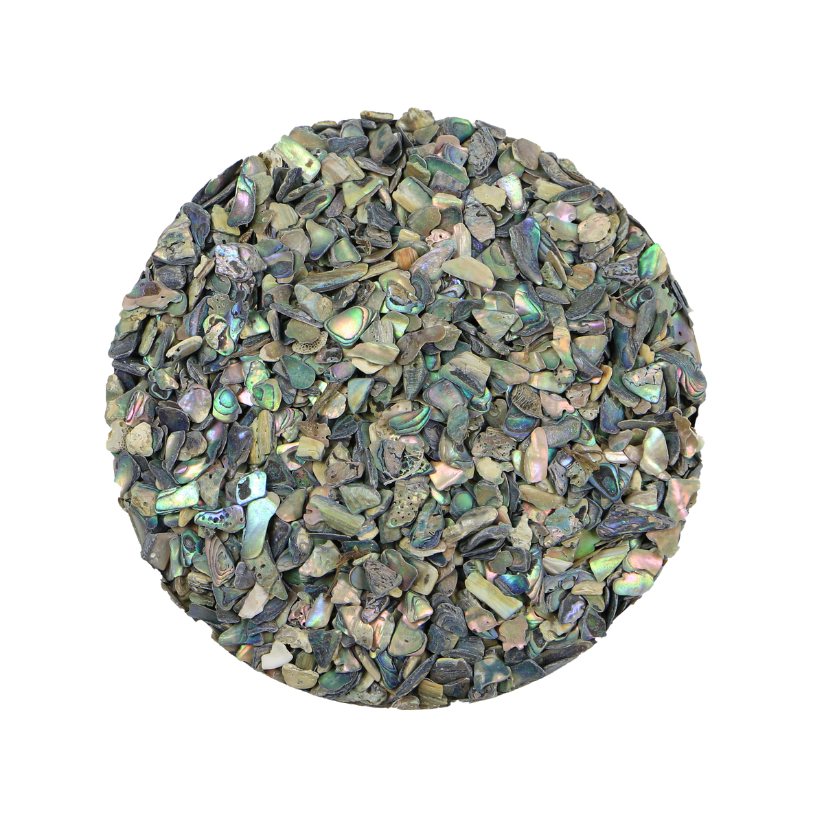 TCHP4 - SHELL TERRAZZO CHIP - PAUA - 3-5MM - OCEAN SHELL STUDIOS