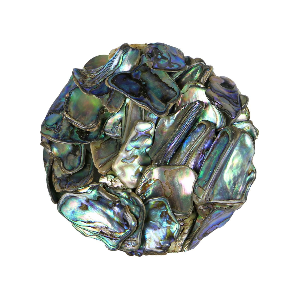 TPCM200 - PAUA SATIN CHUNKY MEDIUM - OCEAN SHELL STUDIOS