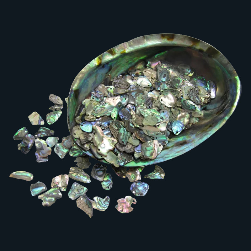 TPGDS_2 - PAUA GLOSS DRILLED TOP SMALL - OCEAN SHELL STUDIOS