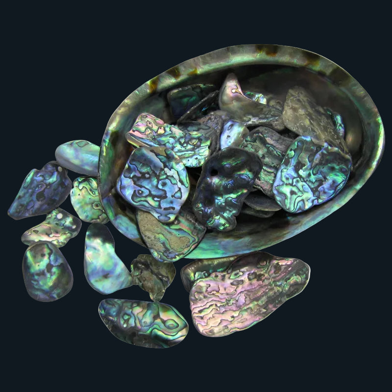 TPSM_2 - PAUA SATIN MEDIUM - OCEAN SHELL STUDIOS