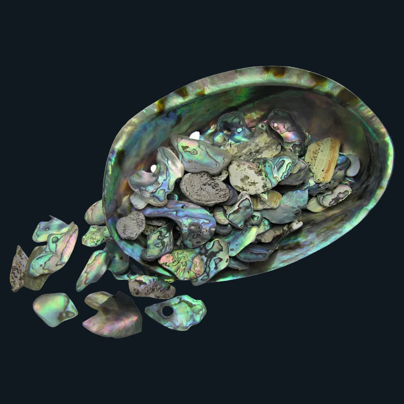 TPSS_2 - PAUA SATIN SMALL - OCEAN SHELL STUDIOS