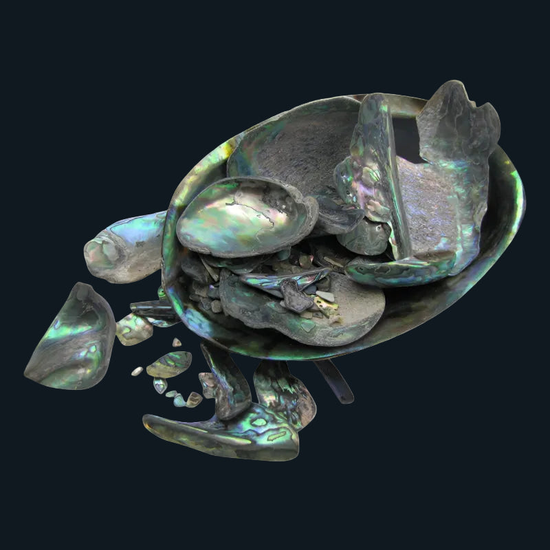 TPSU_2 - PAUA SATIN UNSORTED - OCEAN SHELL STUDIOS