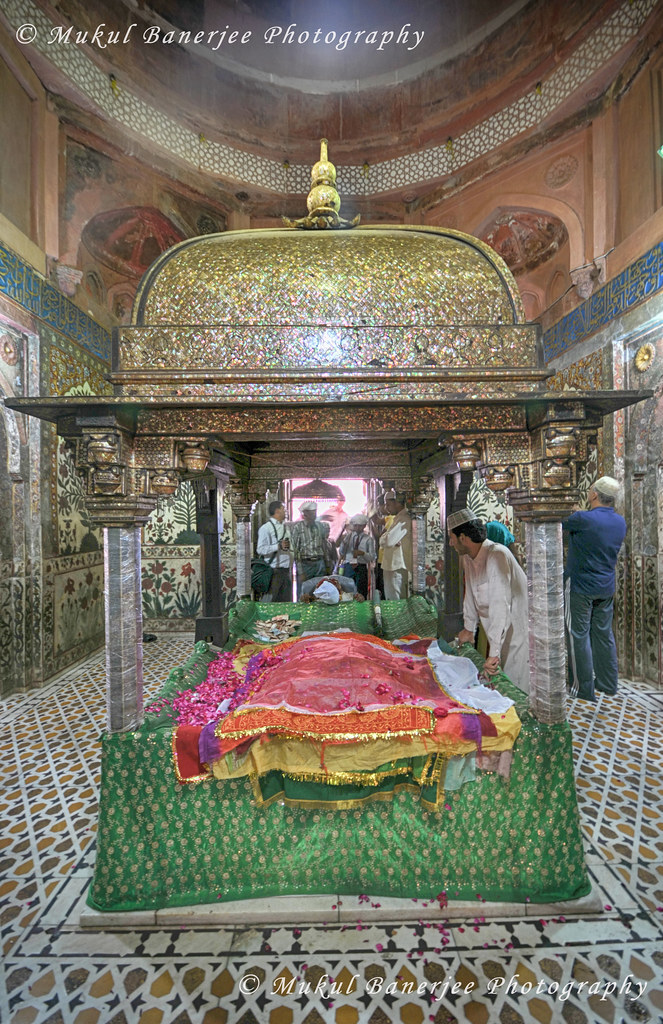 Paua Shell In Indian Bed