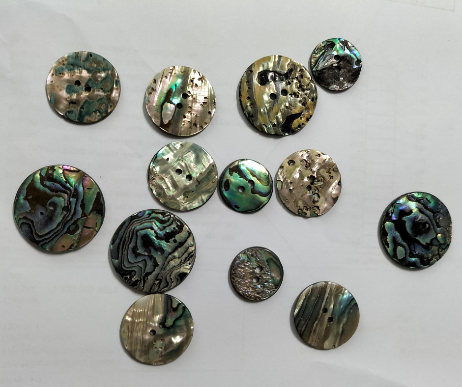 Paua Buttons - Lumea