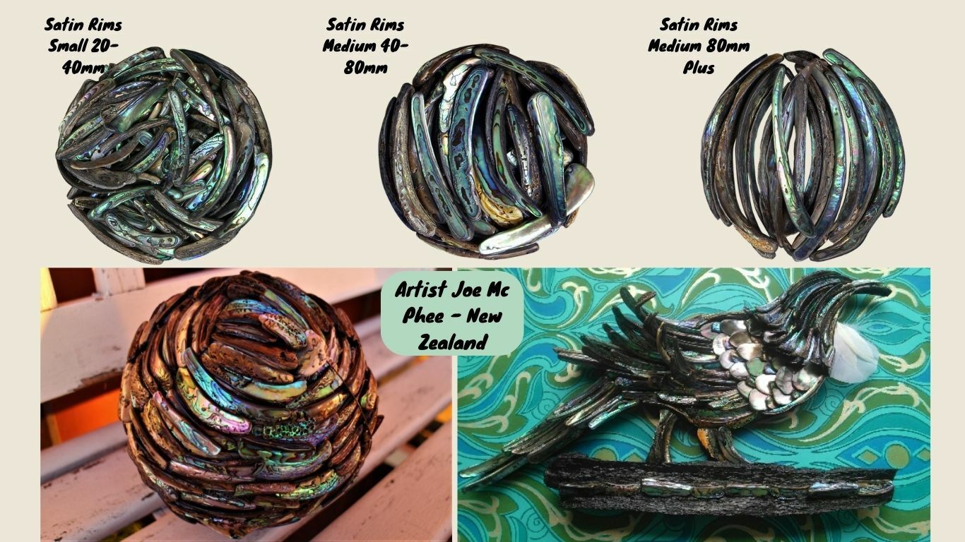 Abalone Shell Pieces- Satin Paua Rims in 3D Art
