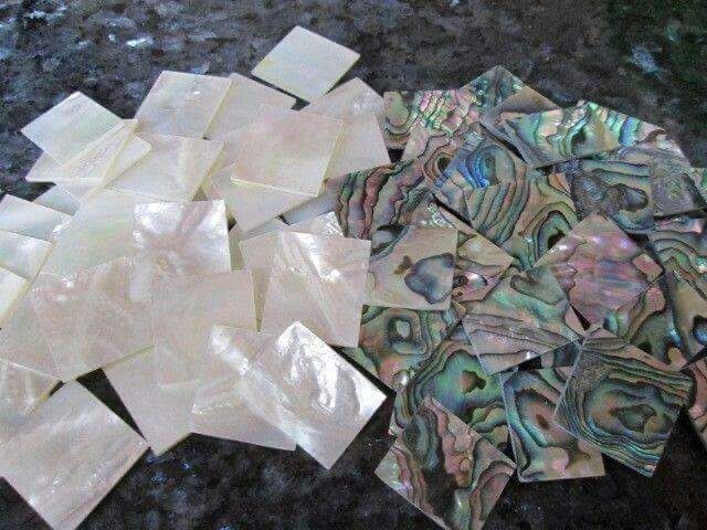 Shell Pieces, Paua/ Mother of Pearl