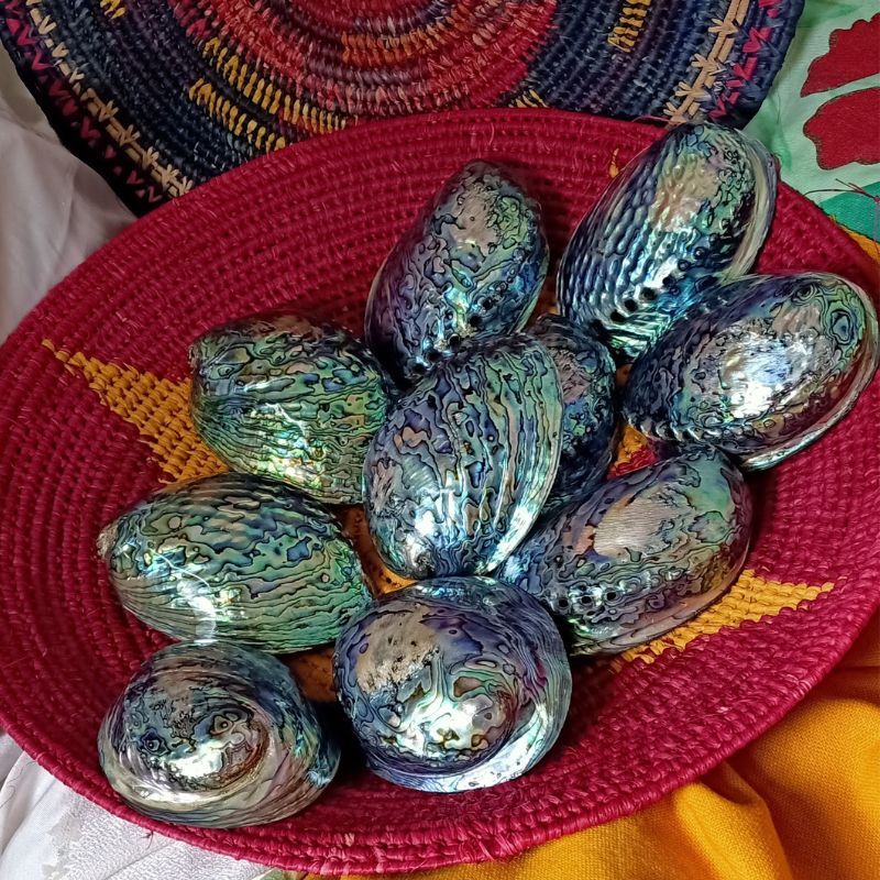 Polished Paua Shells In Pacific Wedding