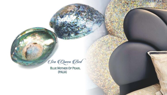 New Zealand Abalone Paua in Indian Furniture