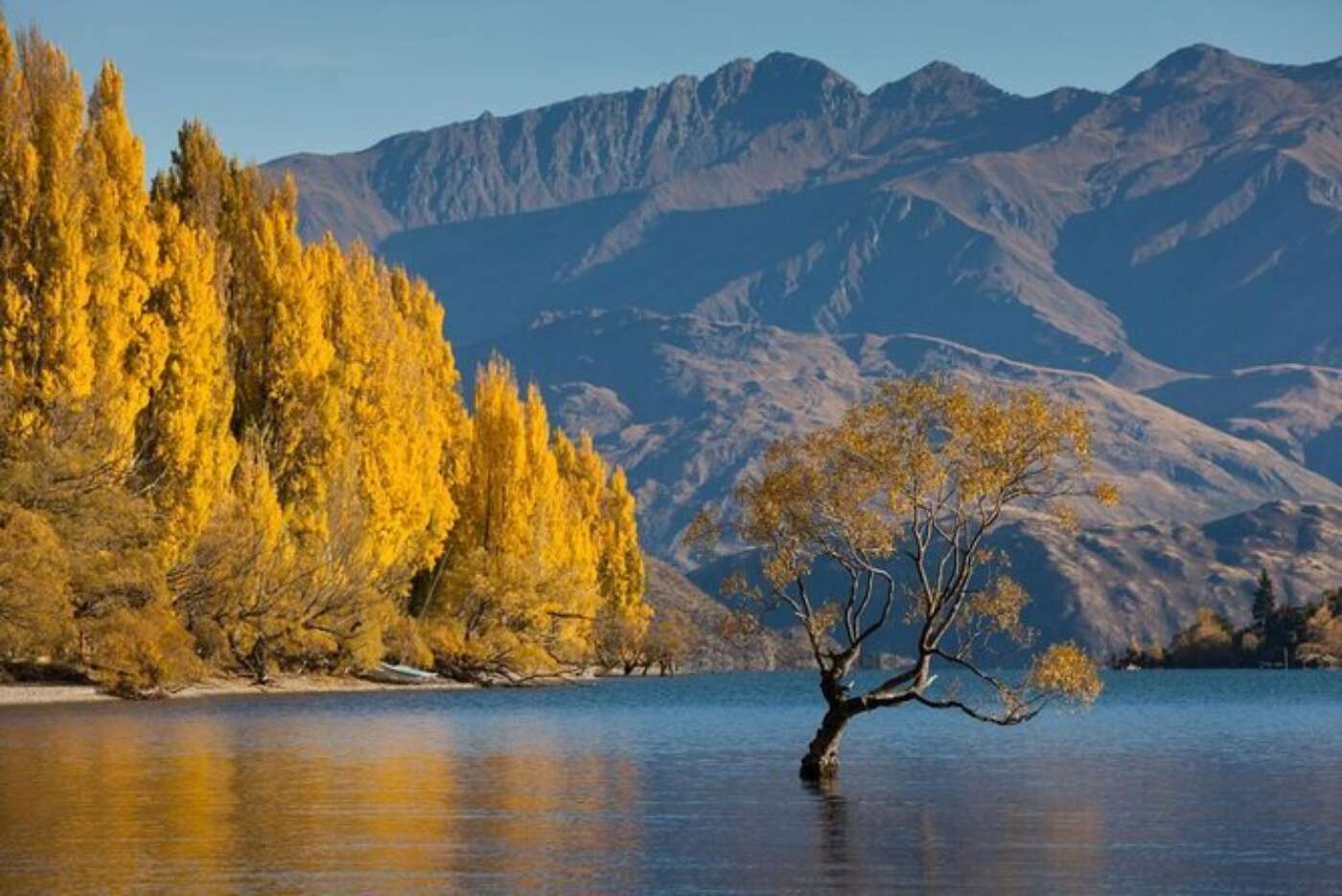 Lake Wanaka