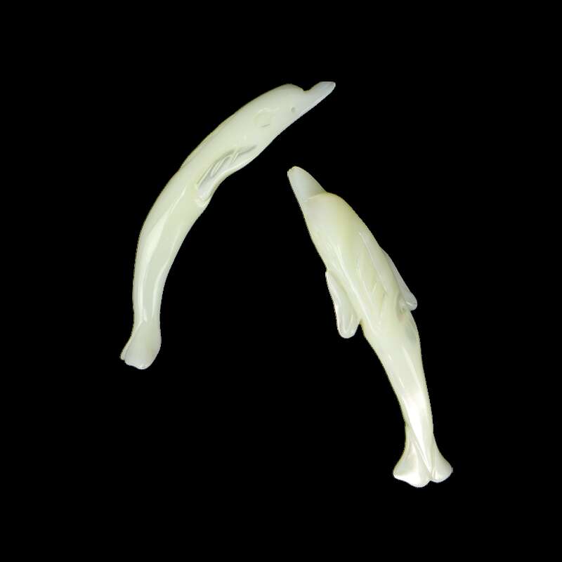 Trochus Dolphin Shaped Beads