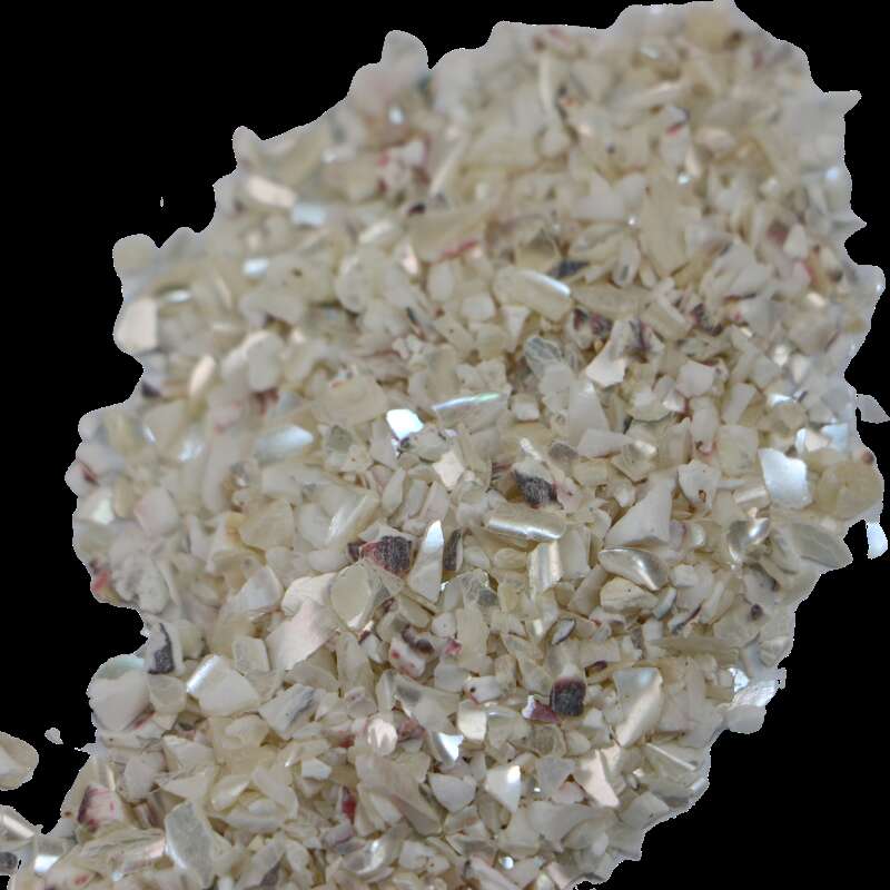 Trochus Terrazzo Chips