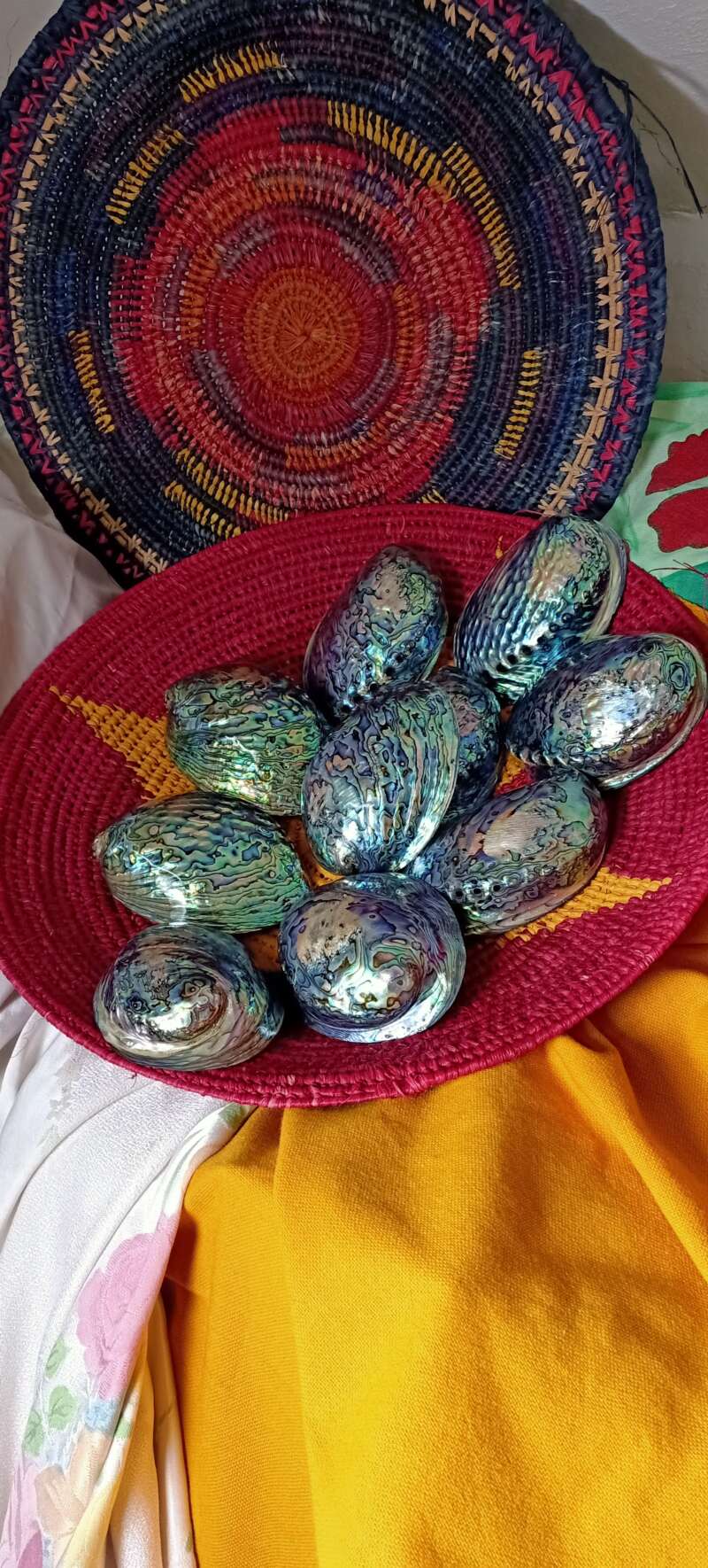 Polished Paua in Wedding Basket
