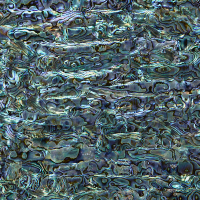 Stone Veneer Peridot Green Abalone Shell Veneer - 9.5x5.5