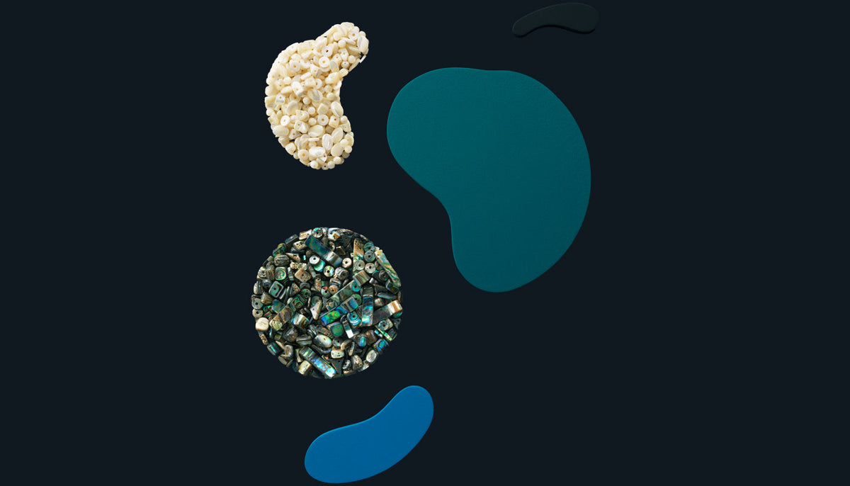 Paua Drilled Gloss