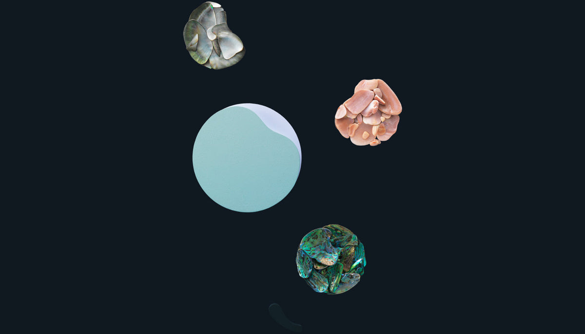 Black Mother Of Pearl Pieces