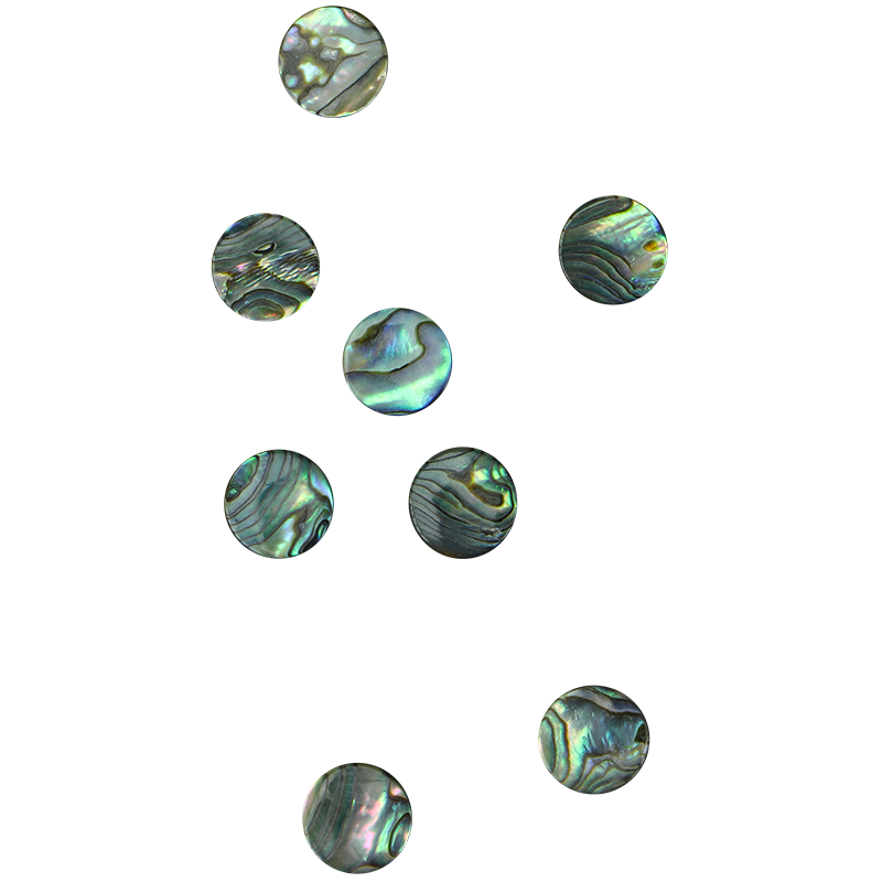 BPCCCT12 - PAUA - CIRCLE - NATURAL CURVE, CLEAN BACK, TUMBLED POLISHED - OCEAN SHELL STUDIOS
