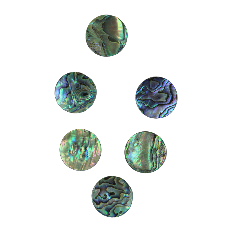 BPCCCT32 - 30.6mm (12pcs) PAUA - CIRCLE - NATURAL CURVE, CLEAN BACK, TUMBLED POLISHED - OCEAN SHELL STUDIOS
