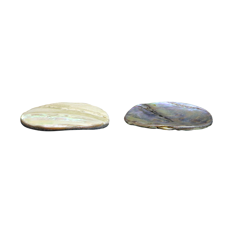 BPCCGT35_3 - PAUA - CIRCLE - NATURAL CURVE, GROUND BACK, TUMBLED POLISHED - OCEAN SHELL STUDIOS