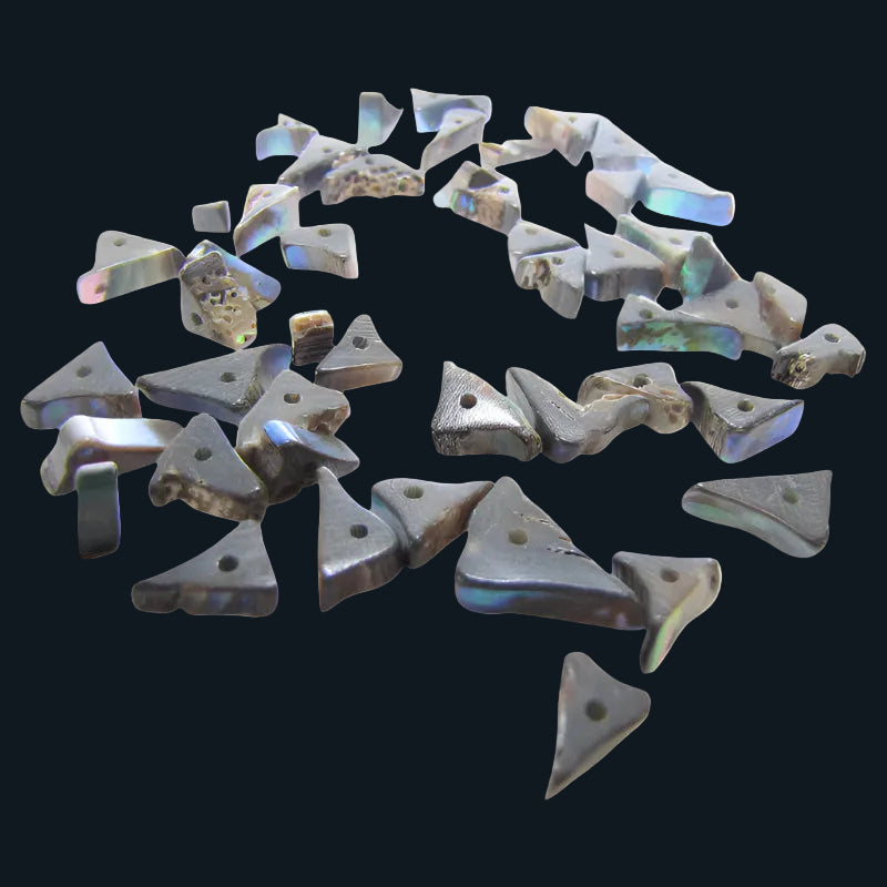BPRT - SHELL BEAD - PAUA TRIANGLE RIM - 8MM (48PCS) - OCEAN SHELL STUDIOS