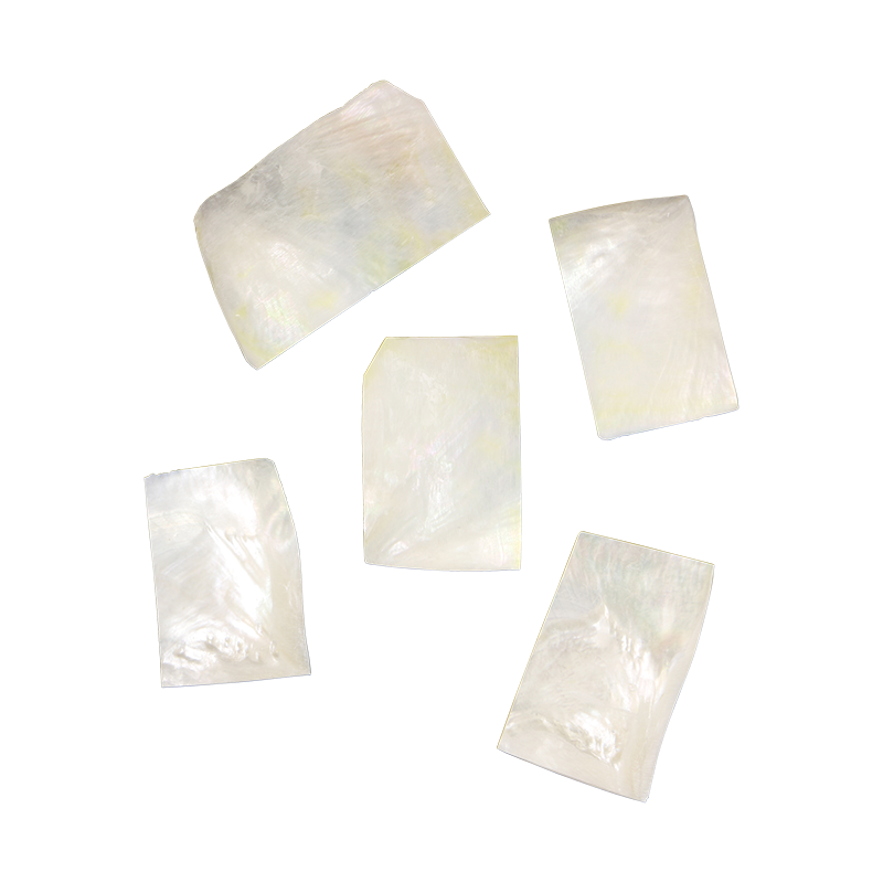 BWRCCNL - WMOP WW - RECTANGLE - NATURAL CURVE, CLEAN BACK, NOT POLISHED - OCEAN SHELL STUDIOS