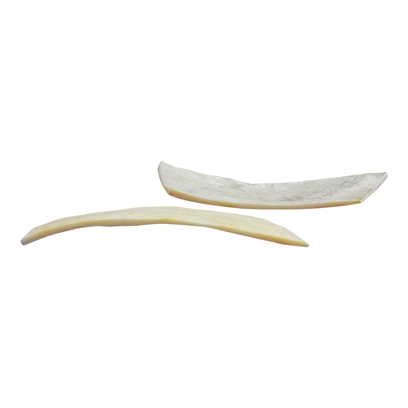 BWYRCCNL_3 - WMOP WY - RECTANGLE - NATURAL CURVE, CLEAN BACK, NOT POLISHED - OCEAN SHELL STUDIOS
