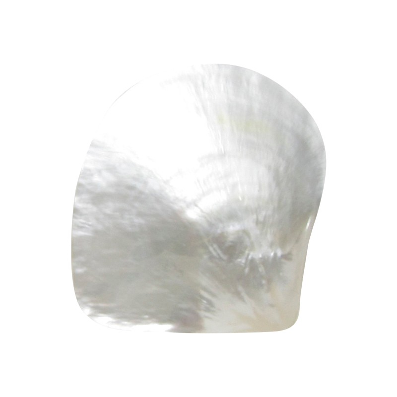 PLWTB - White MOP Full Polished Petite <90mm (<3.5") MOTHER OF PEARL - POLISHED - OCEAN SHELL STUDIOS