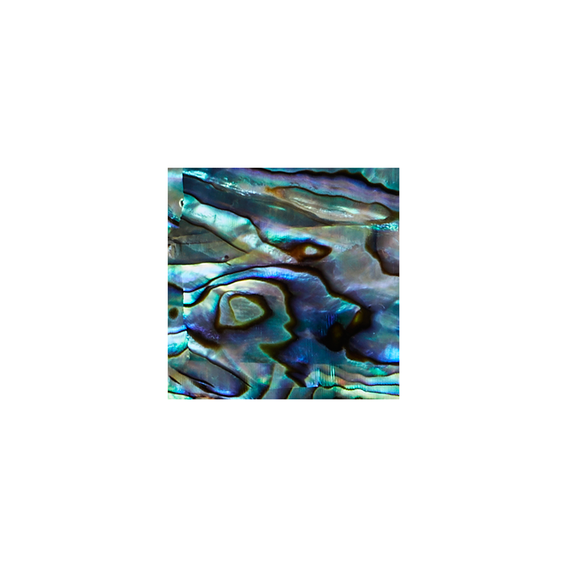 SCS25-1 - COMPOSITE SHAPES - OCEAN SHELL STUDIOS