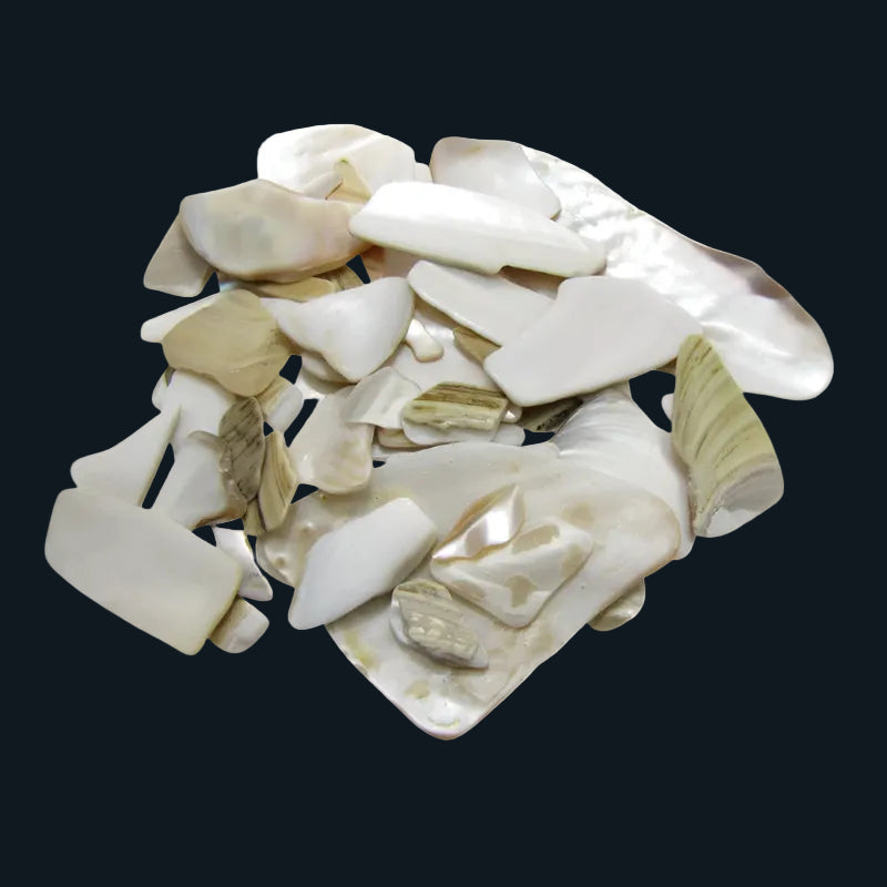 TFWSU - SHELL PIECES F/W MOP SATIN - OCEAN SHELL STUDIOS