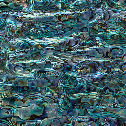TP - SHELL VENEER TILE PAUA ALL NATURAL - OCEAN SHELL STUDIOS