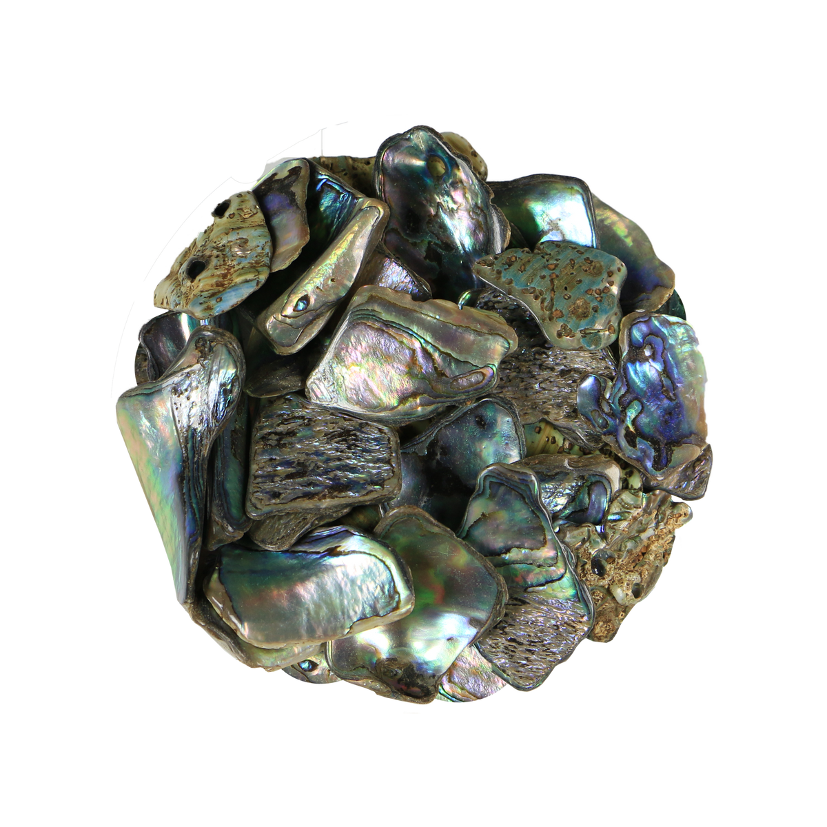 TPCL200 - PAUA SATIN CHUNKY LARGE - OCEAN SHELL STUDIOS