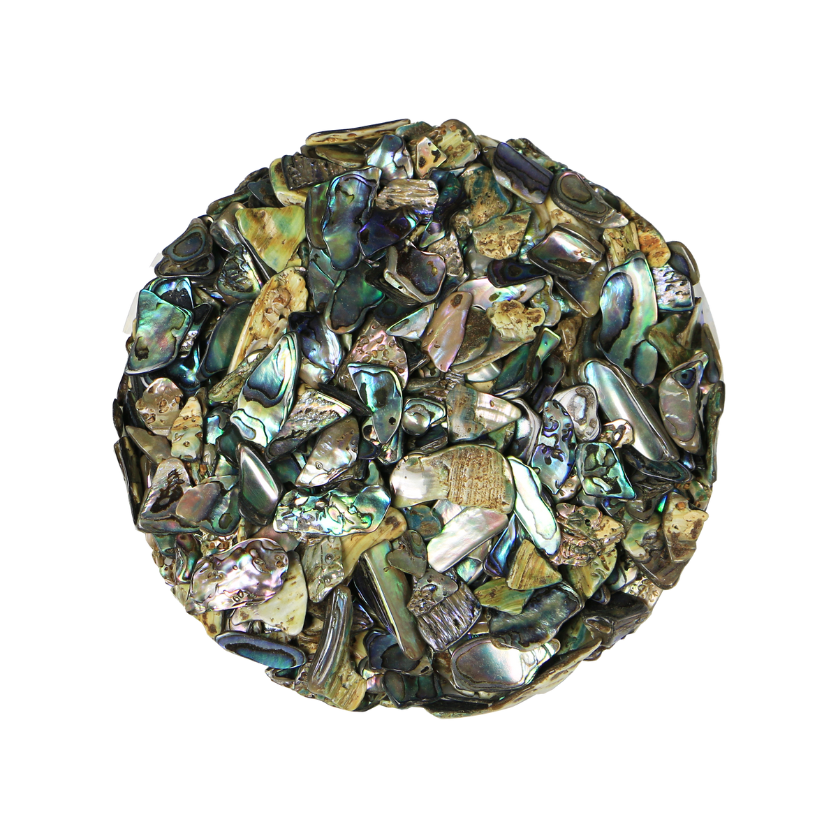 TPCS200 - PAUA SATIN CHUNKY SMALL - OCEAN SHELL STUDIOS