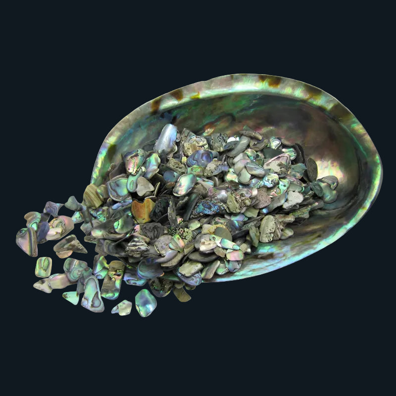 TPSF200K_2 - PAUA SATIN FINES - OCEAN SHELL STUDIOS