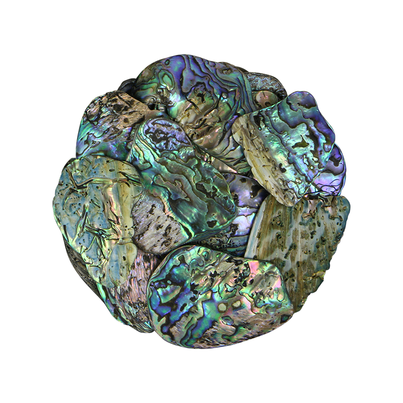 TPSM - PAUA SATIN MEDIUM - OCEAN SHELL STUDIOS