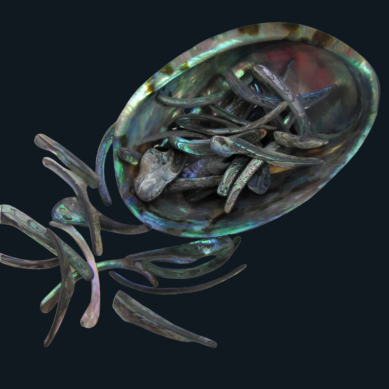 TPSRM - PAUA RIMS MEDIUM - OCEAN SHELL STUDIOS