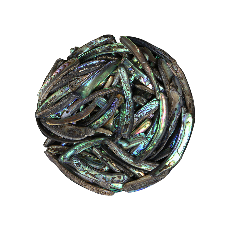 TPSRS_39028df4-a0ce-448c-b3e3-e4b1a2d23db1 - PAUA RIMS SMALL - OCEAN SHELL STUDIOS