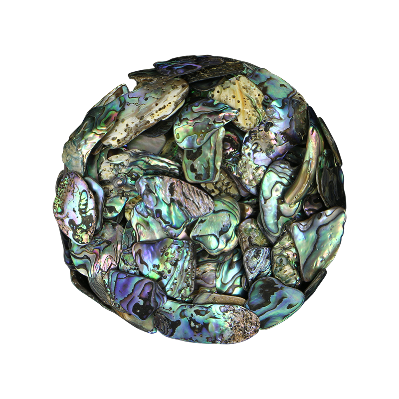 TPSS - PAUA SATIN SMALL - OCEAN SHELL STUDIOS