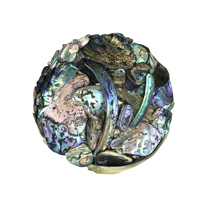 TPSU - PAUA SATIN UNSORTED - OCEAN SHELL STUDIOS