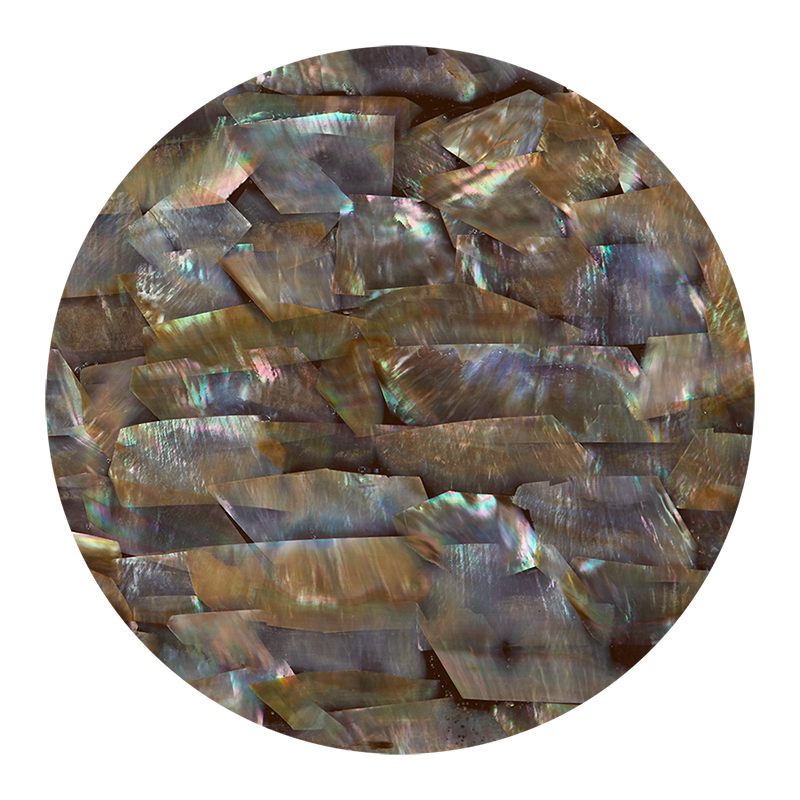 VCO230 - SHELL VENEER COATED - WING OYSTER NATURAL - OCEAN SHELL STUDIOS