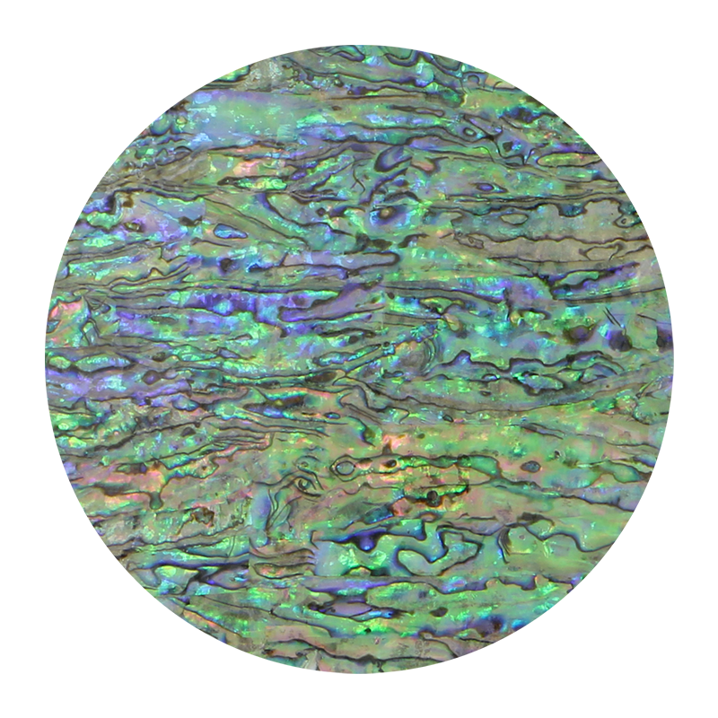 VUPL205 - SHELL VENEER UNCOATED - PAUA LIGHT - OCEAN SHELL STUDIOS