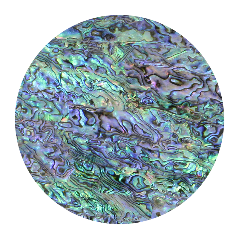 VUPN205 - SHELL VENEER UNCOATED - PAUA NATURAL - OCEAN SHELL STUDIOS