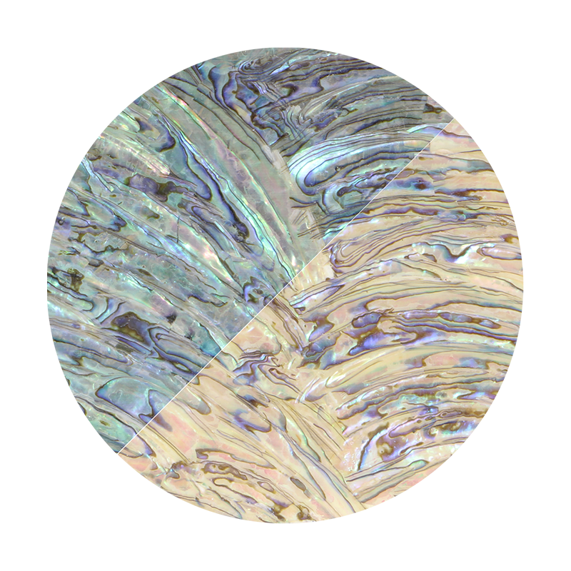 VUPR240_2 - SHELL VENEER UNCOATED - PAUA - RIMS - OCEAN SHELL STUDIOS